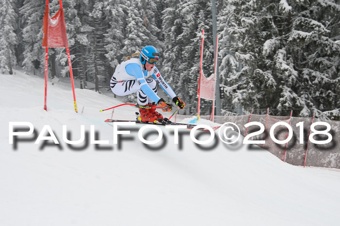 Int. FIS Rennen + NJC Damen, SG, Götschen, 22.02.2018