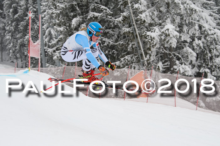 Int. FIS Rennen + NJC Damen, SG, Götschen, 22.02.2018