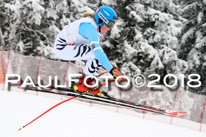 Int. FIS Rennen + NJC Damen, SG, Götschen, 22.02.2018