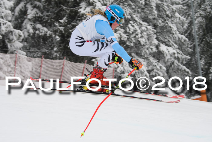 Int. FIS Rennen + NJC Damen, SG, Götschen, 22.02.2018