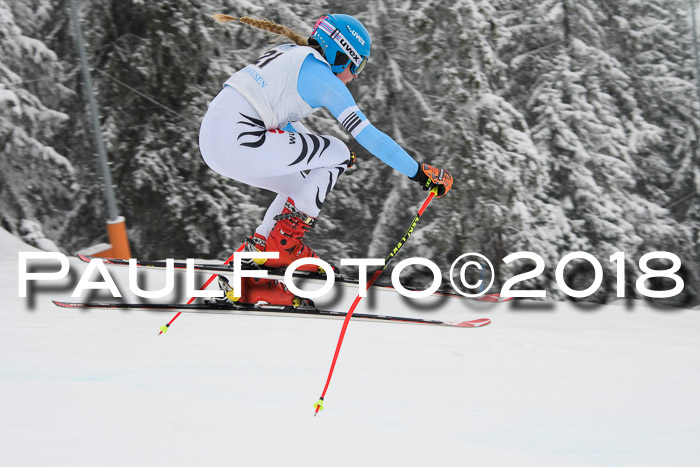 Int. FIS Rennen + NJC Damen, SG, Götschen, 22.02.2018
