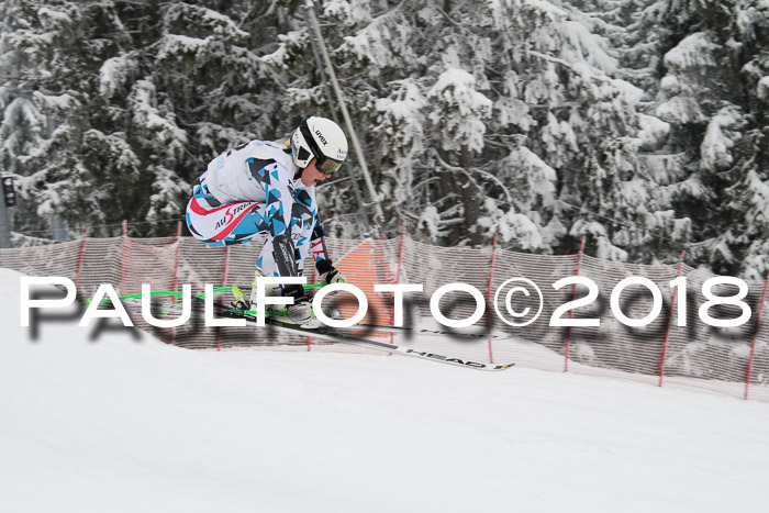 Int. FIS Rennen + NJC Damen, SG, Götschen, 22.02.2018