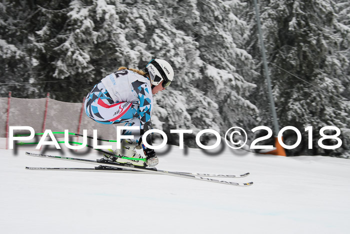Int. FIS Rennen + NJC Damen, SG, Götschen, 22.02.2018