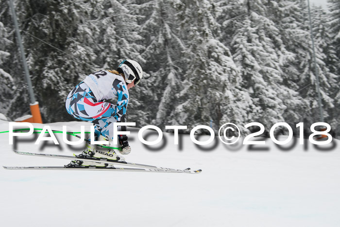 Int. FIS Rennen + NJC Damen, SG, Götschen, 22.02.2018