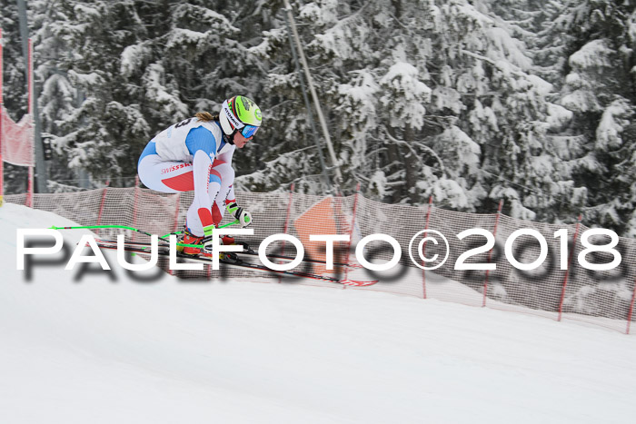 Int. FIS Rennen + NJC Damen, SG, Götschen, 22.02.2018