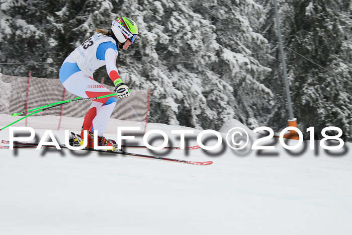 Int. FIS Rennen + NJC Damen, SG, Götschen, 22.02.2018