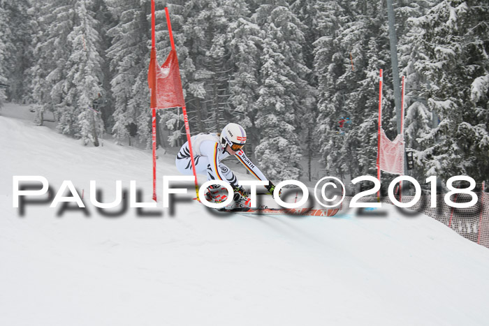 Int. FIS Rennen + NJC Damen, SG, Götschen, 22.02.2018