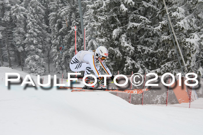 Int. FIS Rennen + NJC Damen, SG, Götschen, 22.02.2018