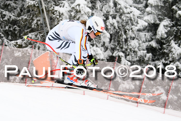 Int. FIS Rennen + NJC Damen, SG, Götschen, 22.02.2018