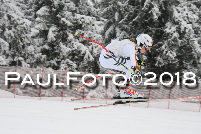 Int. FIS Rennen + NJC Damen, SG, Götschen, 22.02.2018