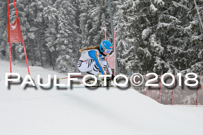 Int. FIS Rennen + NJC Damen, SG, Götschen, 22.02.2018