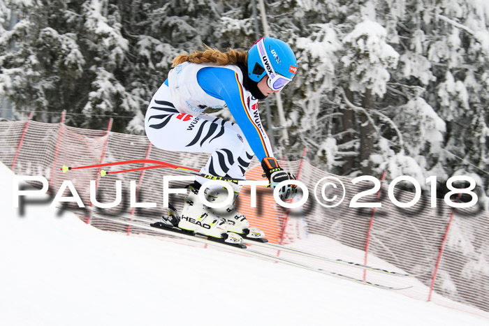 Int. FIS Rennen + NJC Damen, SG, Götschen, 22.02.2018