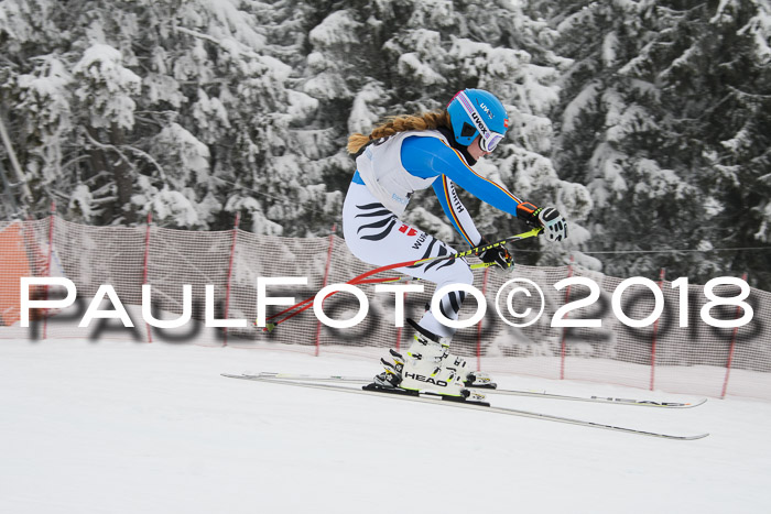 Int. FIS Rennen + NJC Damen, SG, Götschen, 22.02.2018