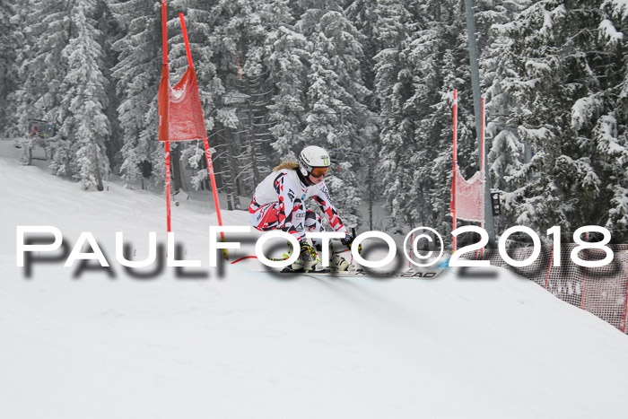 Int. FIS Rennen + NJC Damen, SG, Götschen, 22.02.2018