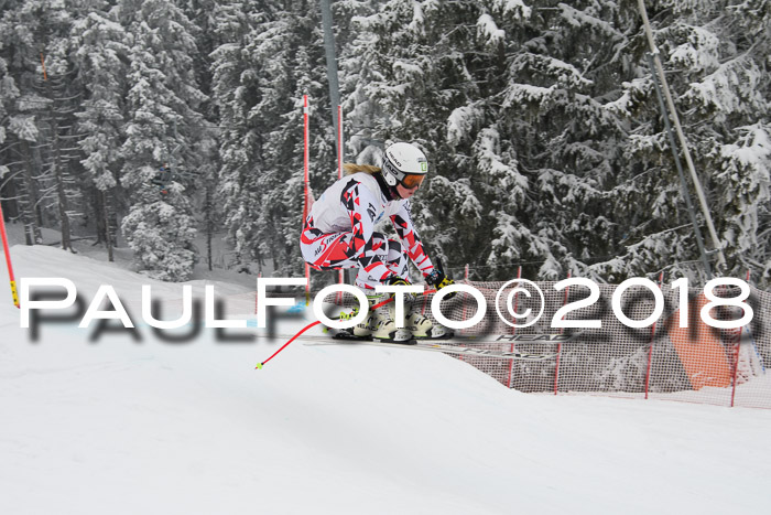 Int. FIS Rennen + NJC Damen, SG, Götschen, 22.02.2018