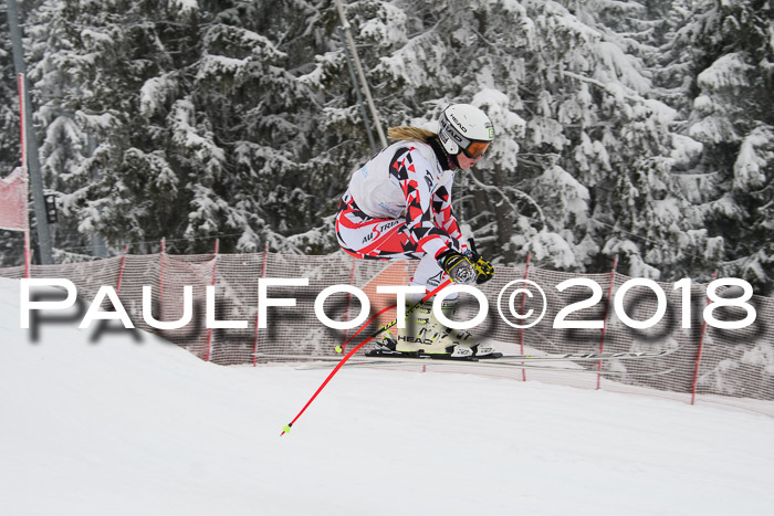 Int. FIS Rennen + NJC Damen, SG, Götschen, 22.02.2018