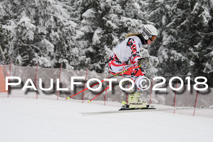 Int. FIS Rennen + NJC Damen, SG, Götschen, 22.02.2018