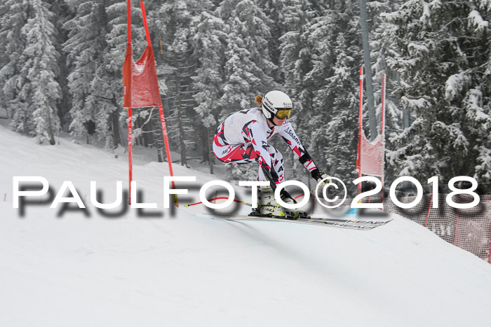 Int. FIS Rennen + NJC Damen, SG, Götschen, 22.02.2018