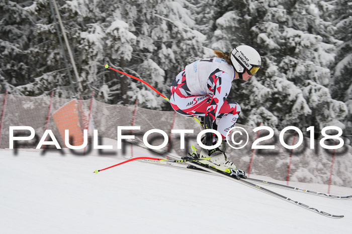 Int. FIS Rennen + NJC Damen, SG, Götschen, 22.02.2018