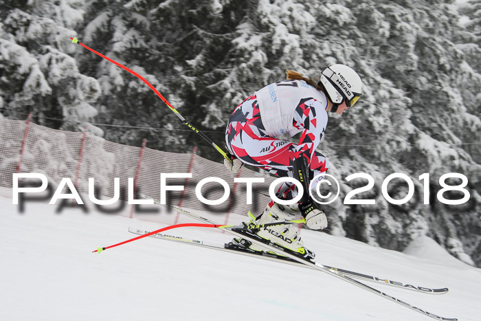 Int. FIS Rennen + NJC Damen, SG, Götschen, 22.02.2018