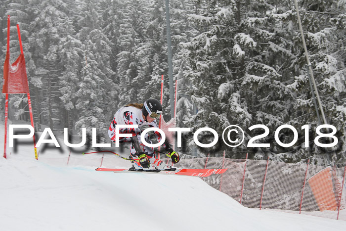 Int. FIS Rennen + NJC Damen, SG, Götschen, 22.02.2018
