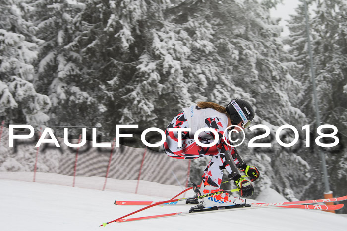 Int. FIS Rennen + NJC Damen, SG, Götschen, 22.02.2018