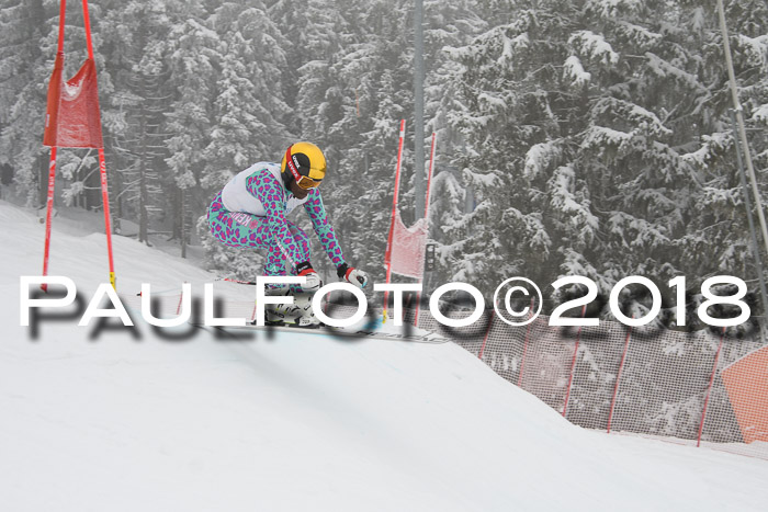 Int. FIS Rennen + NJC Damen, SG, Götschen, 22.02.2018