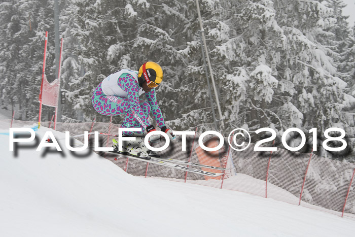 Int. FIS Rennen + NJC Damen, SG, Götschen, 22.02.2018