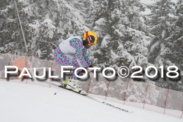 Int. FIS Rennen + NJC Damen, SG, Götschen, 22.02.2018