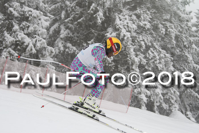 Int. FIS Rennen + NJC Damen, SG, Götschen, 22.02.2018