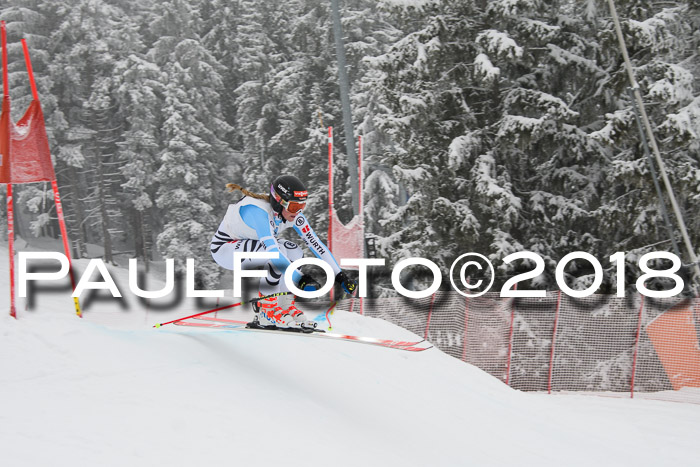 Int. FIS Rennen + NJC Damen, SG, Götschen, 22.02.2018