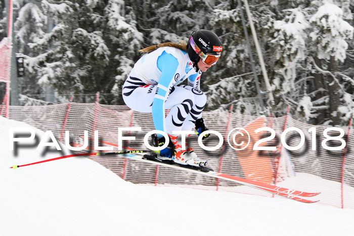 Int. FIS Rennen + NJC Damen, SG, Götschen, 22.02.2018