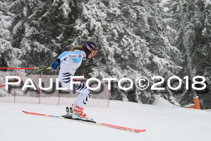 Int. FIS Rennen + NJC Damen, SG, Götschen, 22.02.2018