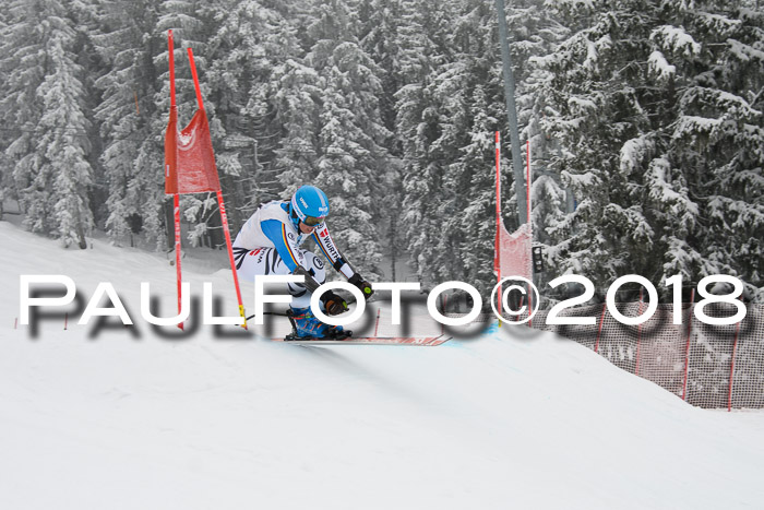 Int. FIS Rennen + NJC Damen, SG, Götschen, 22.02.2018