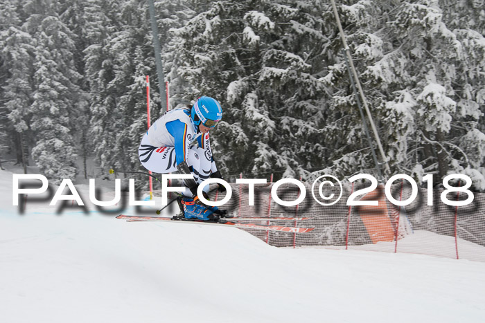 Int. FIS Rennen + NJC Damen, SG, Götschen, 22.02.2018