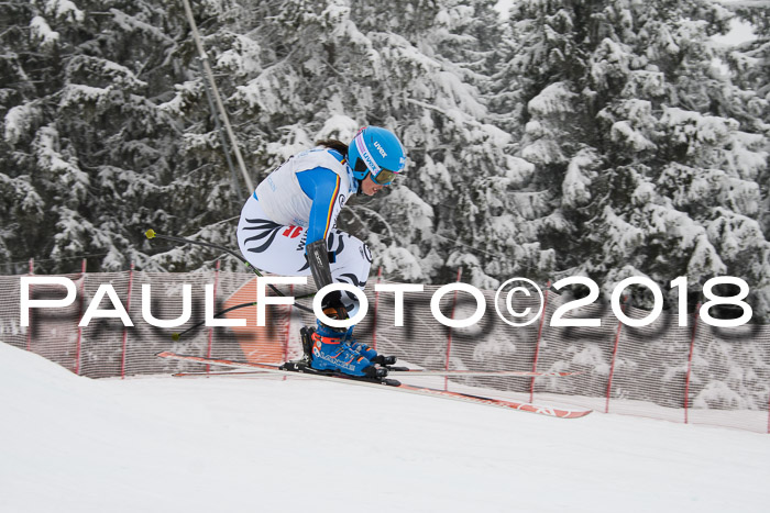 Int. FIS Rennen + NJC Damen, SG, Götschen, 22.02.2018