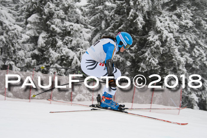Int. FIS Rennen + NJC Damen, SG, Götschen, 22.02.2018