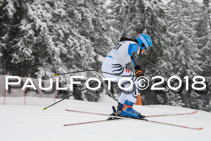 Int. FIS Rennen + NJC Damen, SG, Götschen, 22.02.2018