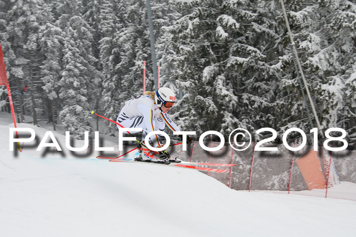 Int. FIS Rennen + NJC Damen, SG, Götschen, 22.02.2018