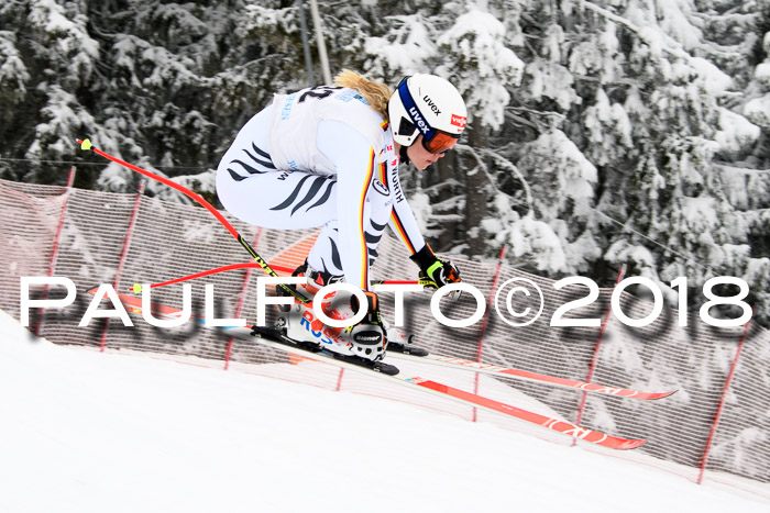 Int. FIS Rennen + NJC Damen, SG, Götschen, 22.02.2018