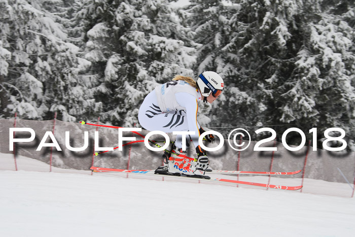 Int. FIS Rennen + NJC Damen, SG, Götschen, 22.02.2018