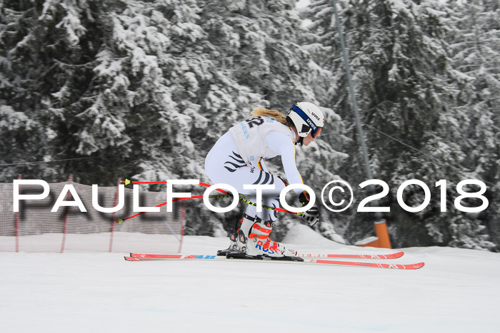 Int. FIS Rennen + NJC Damen, SG, Götschen, 22.02.2018