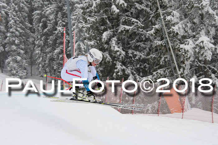 Int. FIS Rennen + NJC Damen, SG, Götschen, 22.02.2018