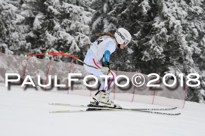 Int. FIS Rennen + NJC Damen, SG, Götschen, 22.02.2018