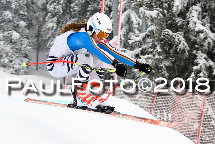 Int. FIS Rennen + NJC Damen, SG, Götschen, 22.02.2018