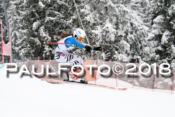 Int. FIS Rennen + NJC Damen, SG, Götschen, 22.02.2018