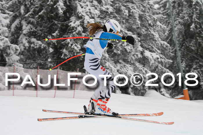 Int. FIS Rennen + NJC Damen, SG, Götschen, 22.02.2018