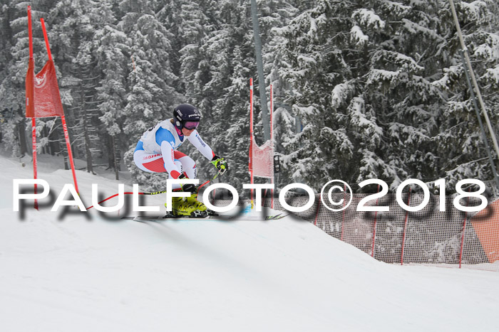 Int. FIS Rennen + NJC Damen, SG, Götschen, 22.02.2018
