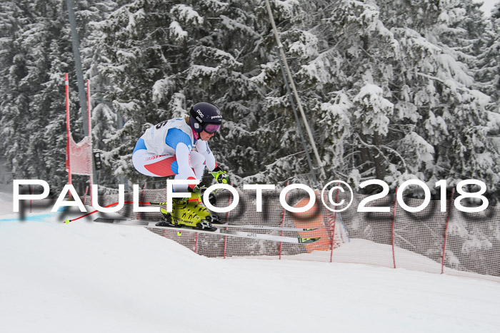 Int. FIS Rennen + NJC Damen, SG, Götschen, 22.02.2018
