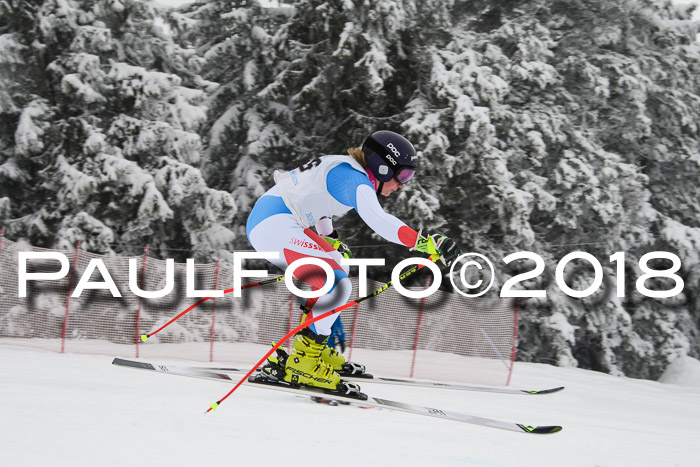 Int. FIS Rennen + NJC Damen, SG, Götschen, 22.02.2018